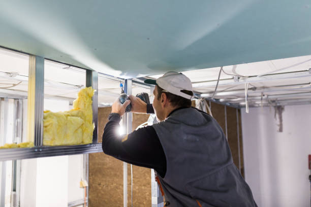 Best Insulation Replacement Services  in Biddeford, ME